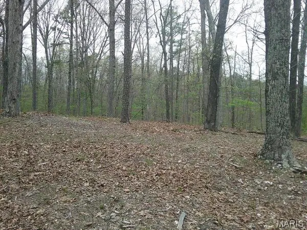 $154,995 | 0 West State Highway, Potosi, MO 63664