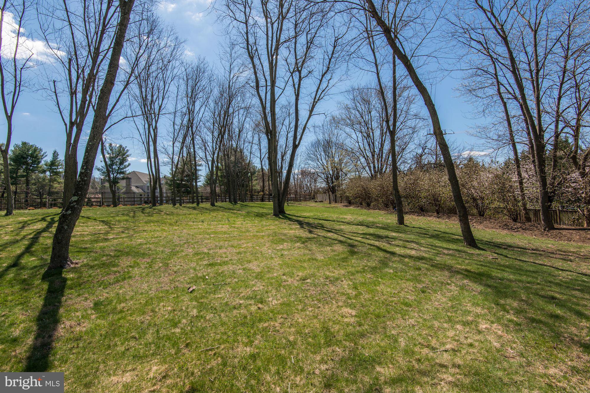 11112 Potomac View Drive Potomac, MD 20854 - Photo 27 of 30 a view of a park with large trees