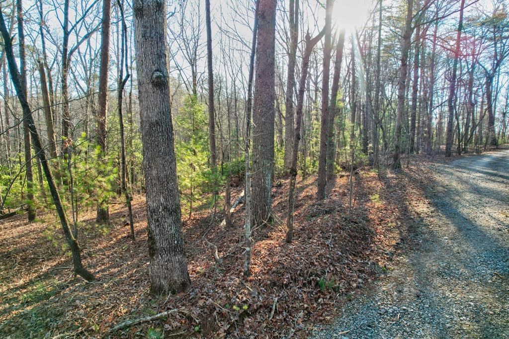 17.67-ac Rainbow Ridge Road Ellijay, GA 30536 - Photo 4 of 42 Gallery Image 4