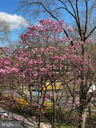 $2,950 | 4620 North Park Avenue, Unit 305W, Chevy Chase, MD 20815