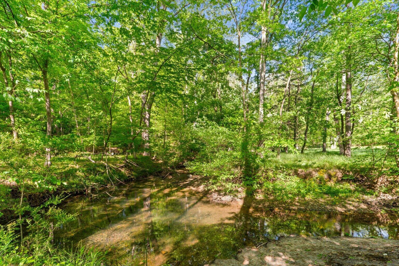1021 Liberty Church Road Northeast Ranger, GA 30734 - Photo 17 of 83 105-DSC06250