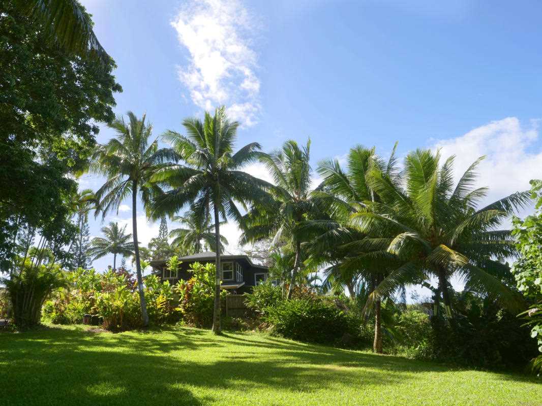 101 West Waipio Road Haiku, HI 96708 - Photo 21 of 30 a view of a yard