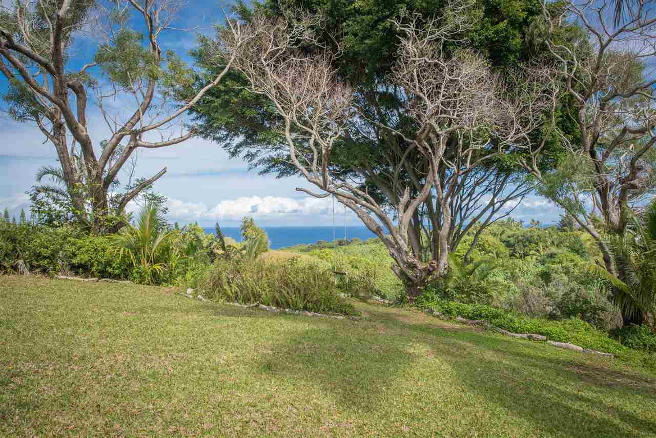 101 West Waipio Road Haiku, HI 96708 - Photo 6 of 30 a view of backyard with green space