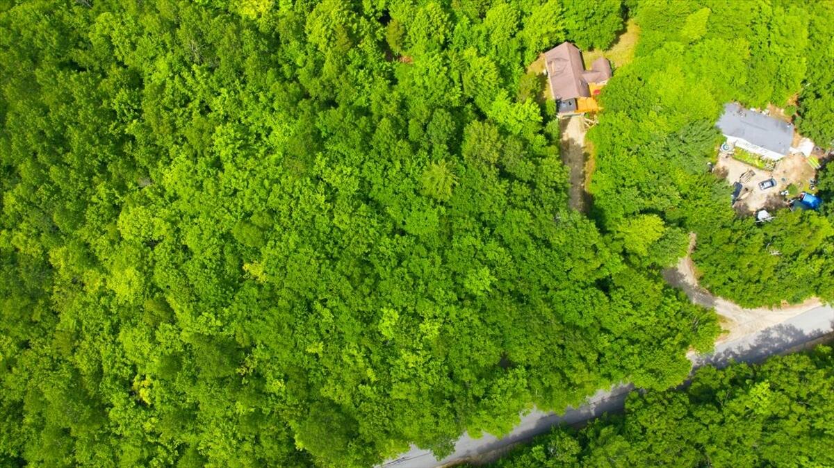 66 Rowe Hill Road Bryant Pond, ME 04219 - Photo 68 of 71 018-DJI_20260627133847_0248_D