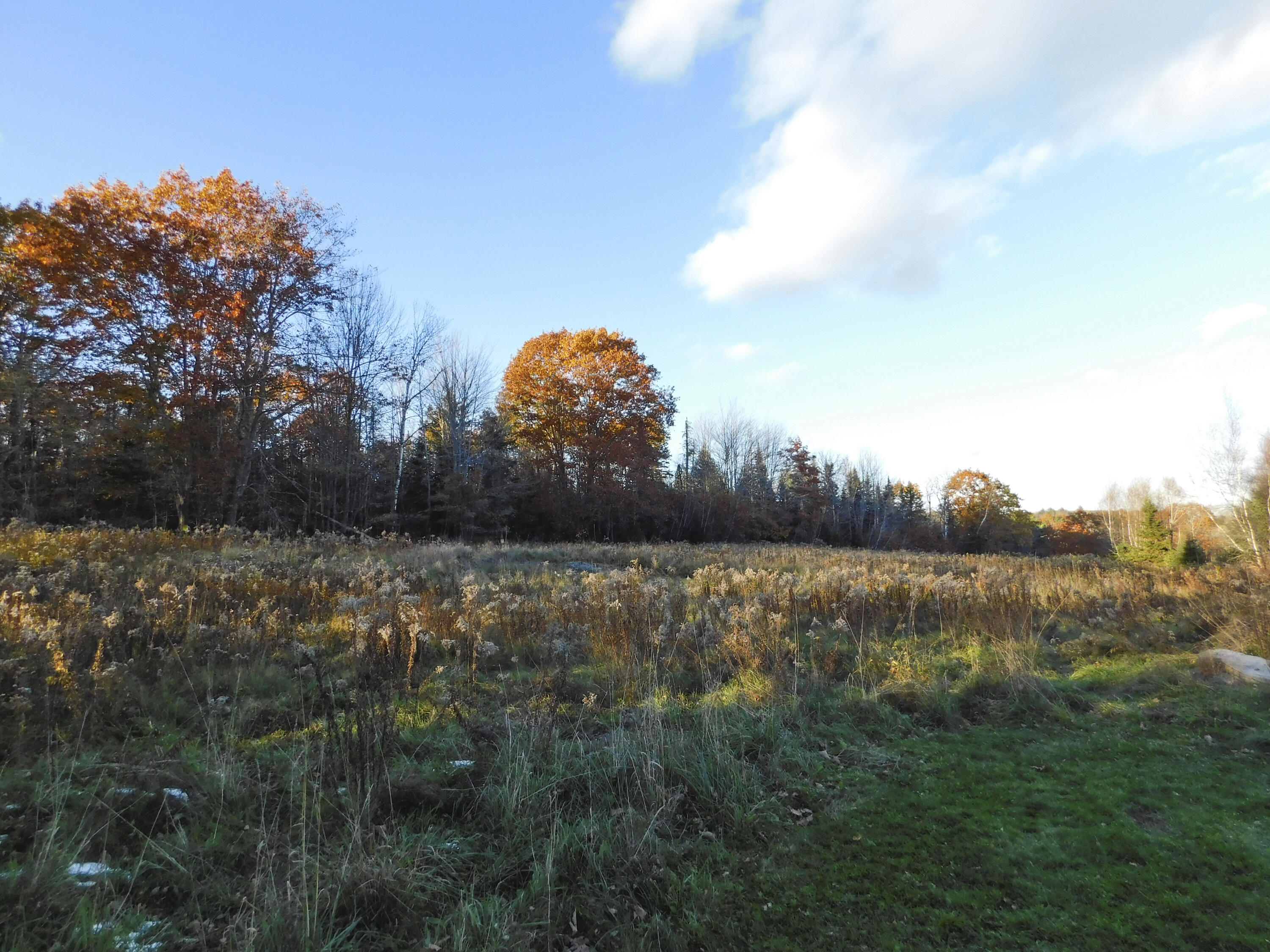 1096 Silvers Mills Road Sangerville, ME 04479 - Photo 71 of 83 Land