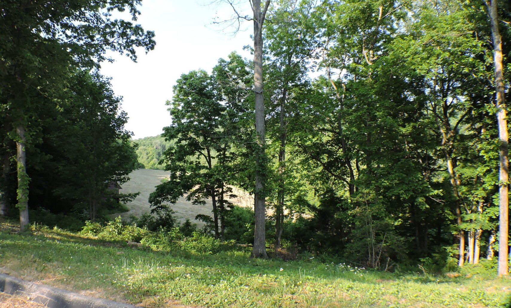 490 Oil Springs Road Winchester, KY 40391 - Photo 53 of 82 DSCN9661