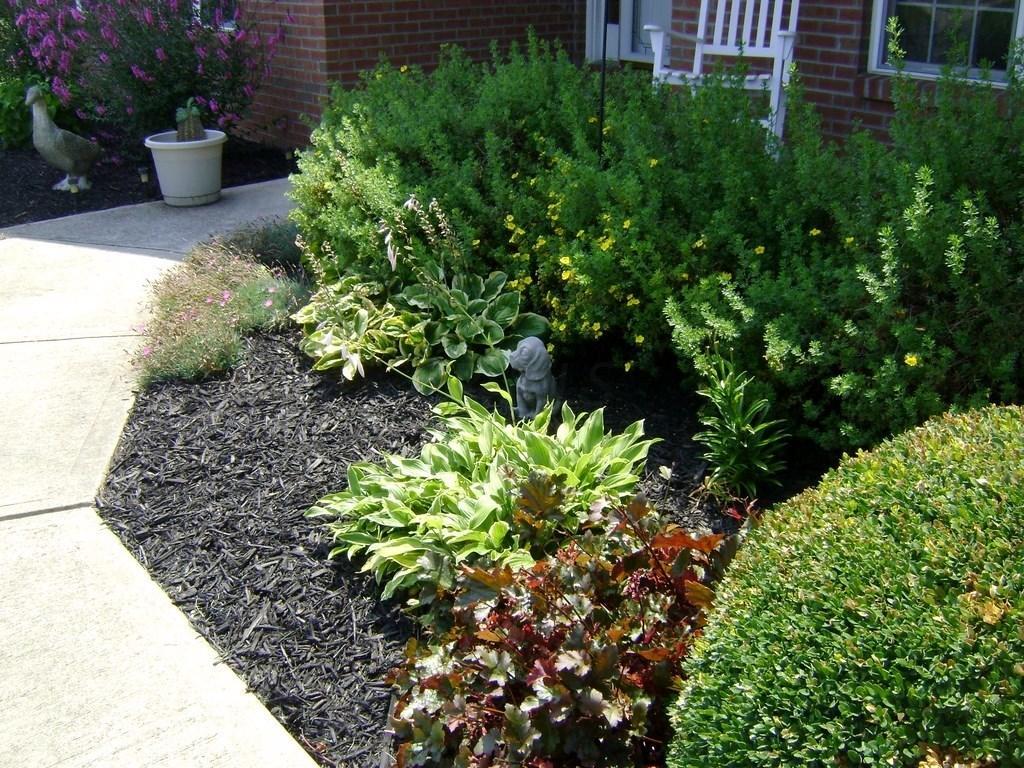 293 Holder Road Northeast Baltimore, OH 43105 - Photo 4 of 40