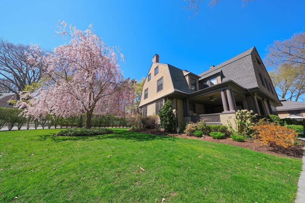 37 Evans Road Brookline, MA 02445 - Photo 30 of 42