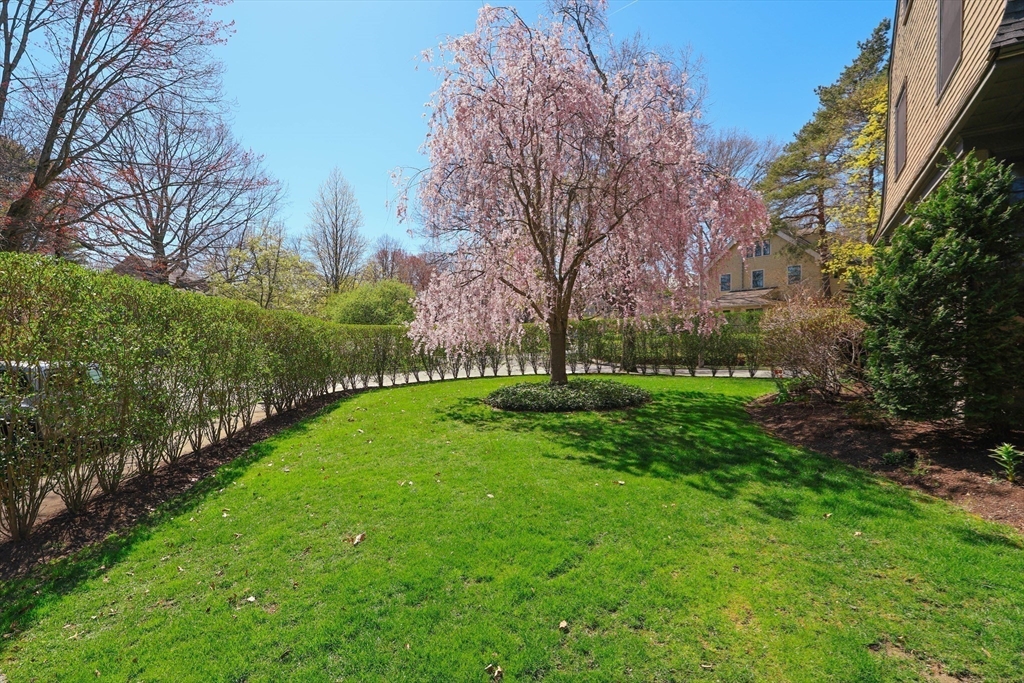 37 Evans Road Brookline, MA 02445 - Photo 31 of 42