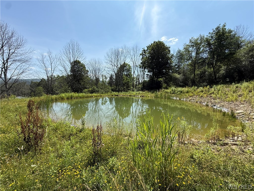 4565 Back River Road Amity, NY 14813 - Photo 33 of 37