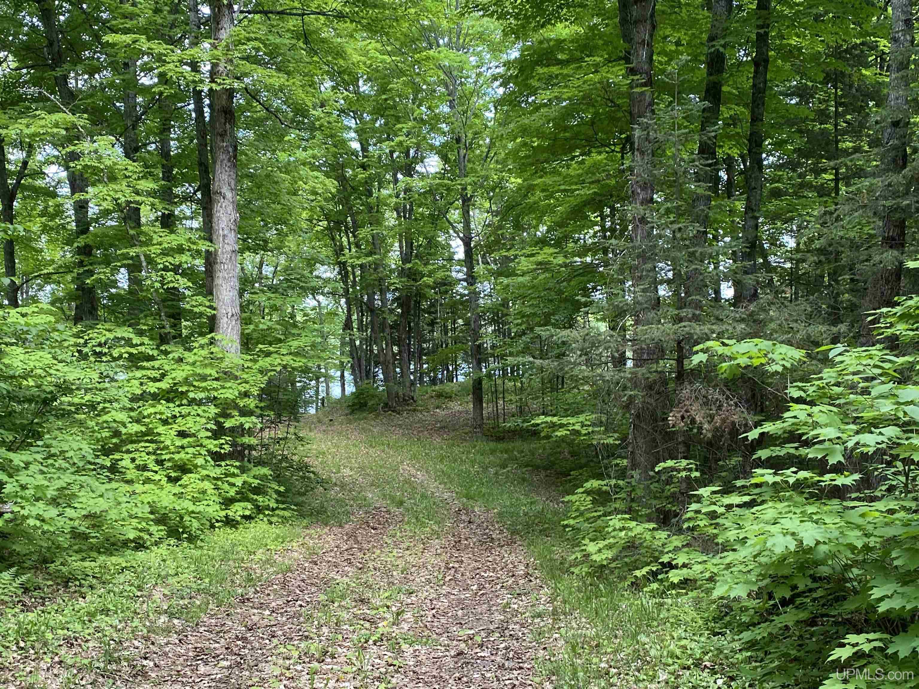 On On Hawk Lake Road Marenisco, MI 49947 - Photo 6 of 26