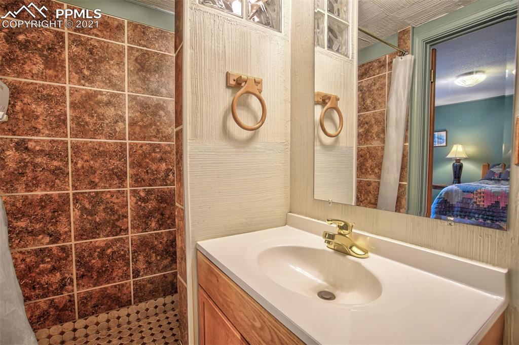 159 Trull Road Woodland Park, CO 80863 - Photo 24 of 50