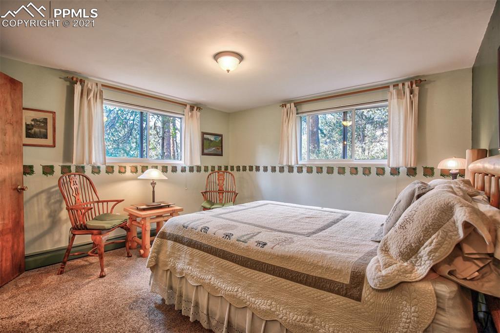 159 Trull Road Woodland Park, CO 80863 - Photo 29 of 50