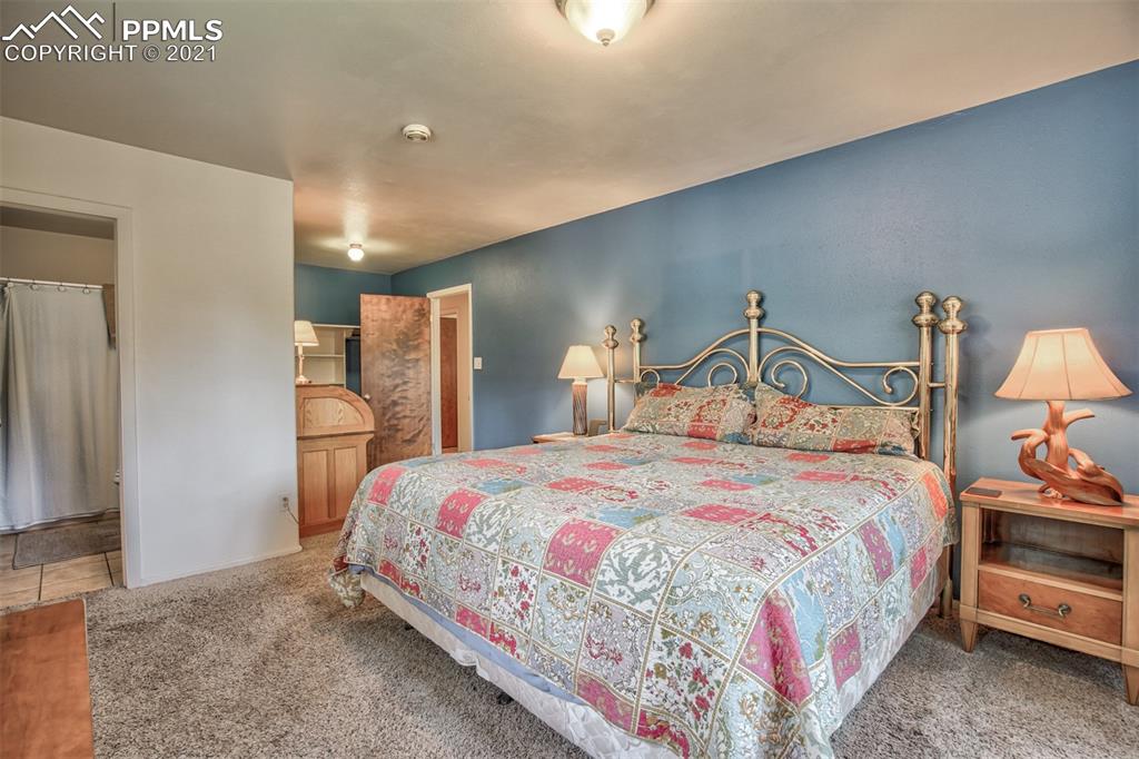 159 Trull Road Woodland Park, CO 80863 - Photo 38 of 50