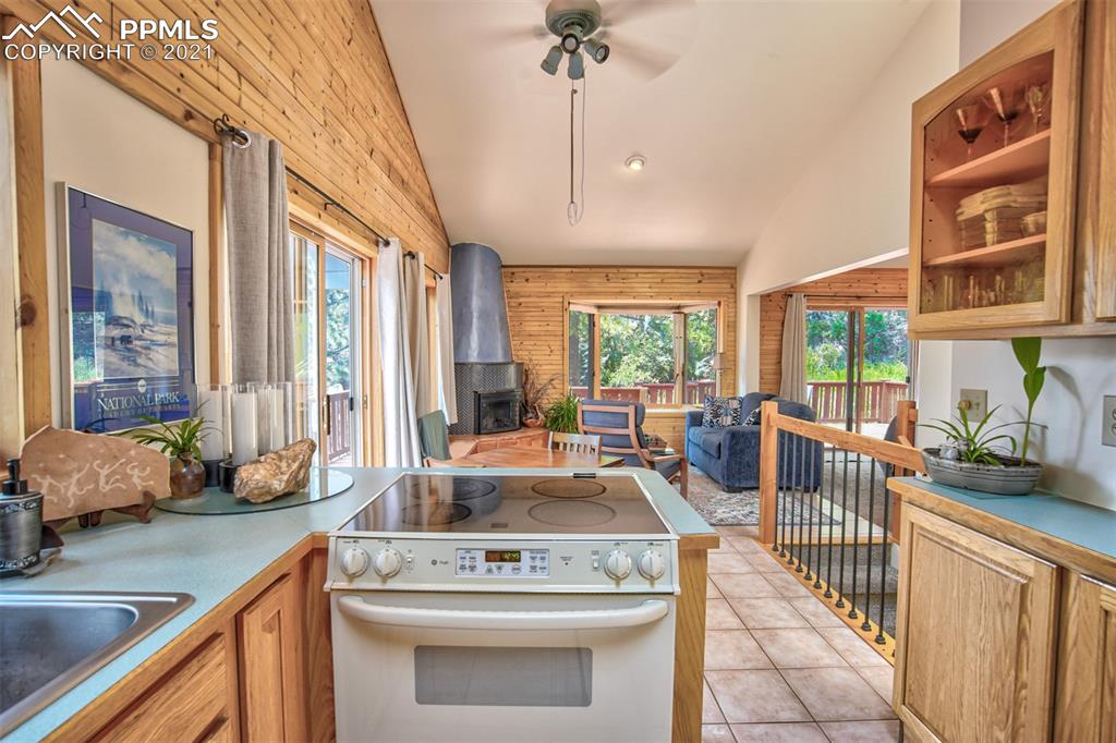 159 Trull Road Woodland Park, CO 80863 - Photo 44 of 50