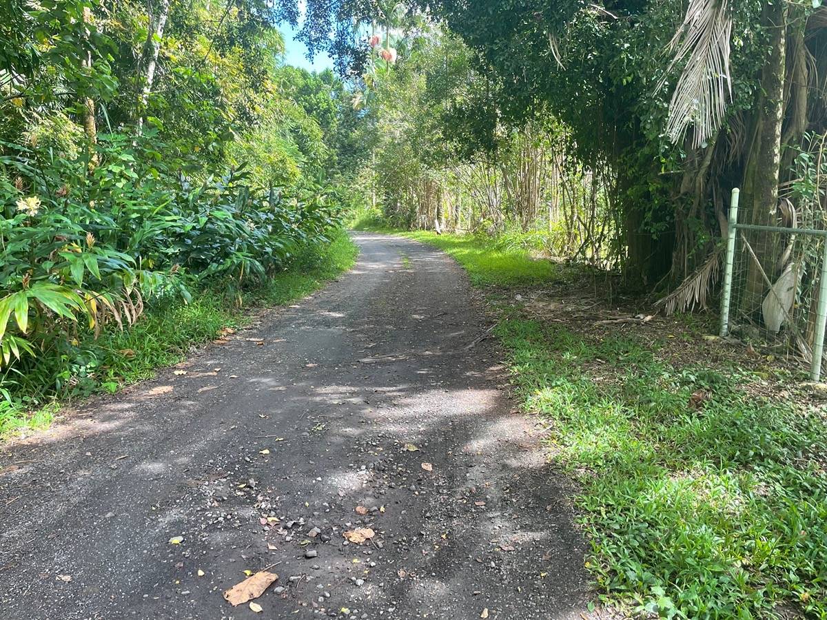 13 13 Mile Road Keaau, HI 96749 - Photo 1 of 7 Gallery Image 1