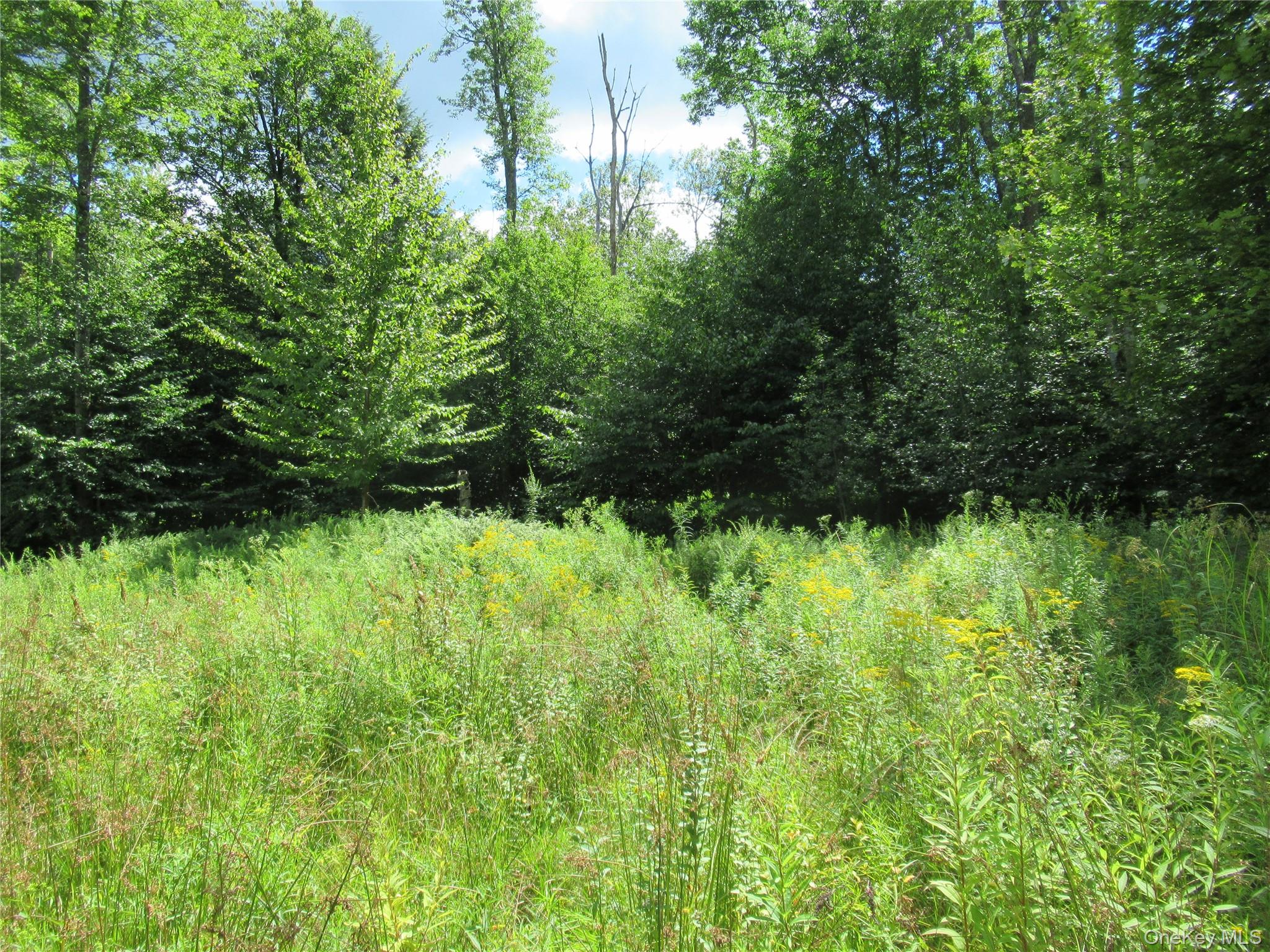 Tbd Ferndale Road Ferndale, NY 12734 - Photo 2 of 7 a view of outdoor space with deck and yard