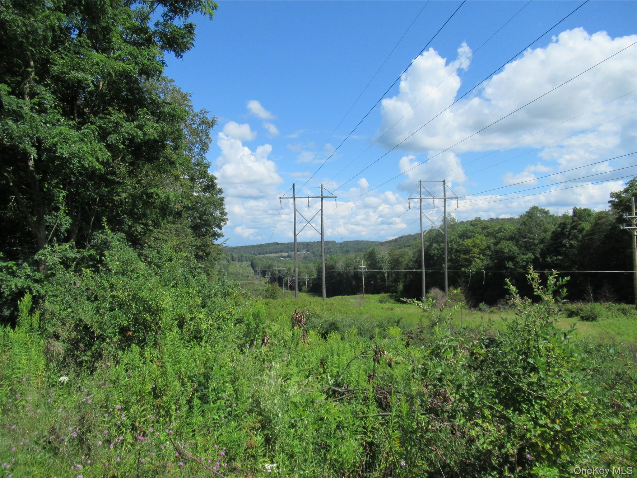 Tbd Ferndale Road Ferndale, NY 12734 - Photo 5 of 7