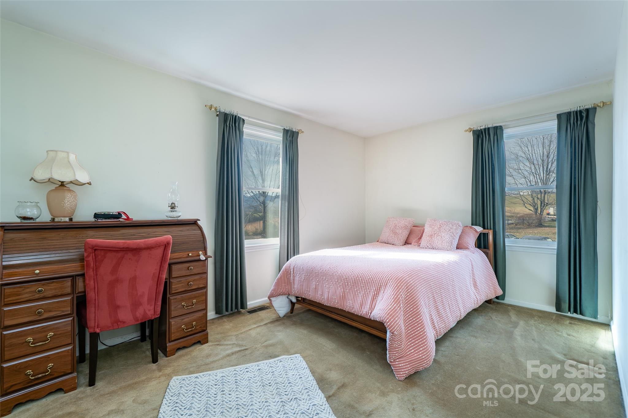 358 Gouges Branch Road Leicester, NC 28748 - Photo 23 of 36