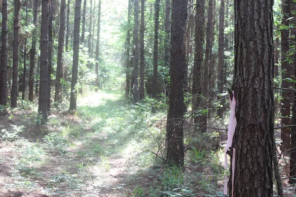 $158,400 | 0 Highway 550, Wesson, MS 39191