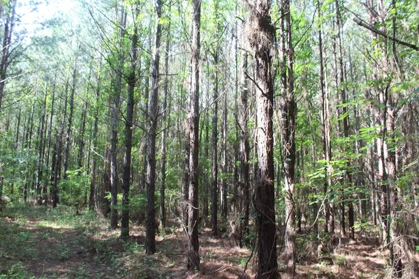 $158,400 | 0 Highway 550, Wesson, MS 39191