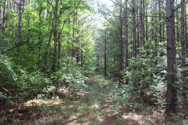 $158,400 | 0 Highway 550, Wesson, MS 39191