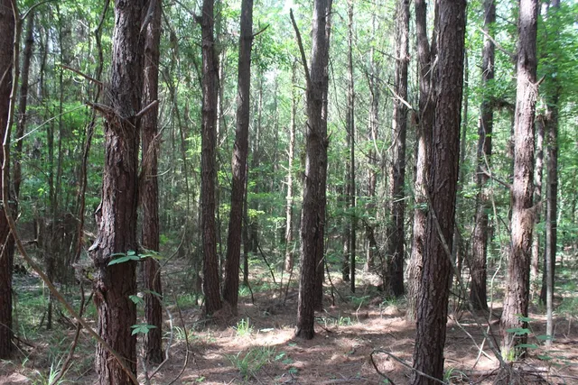 $158,400 | 0 Highway 550, Wesson, MS 39191