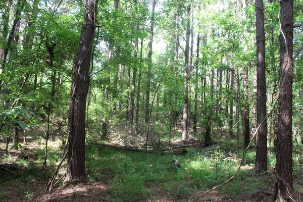 $158,400 | 0 Highway 550, Wesson, MS 39191