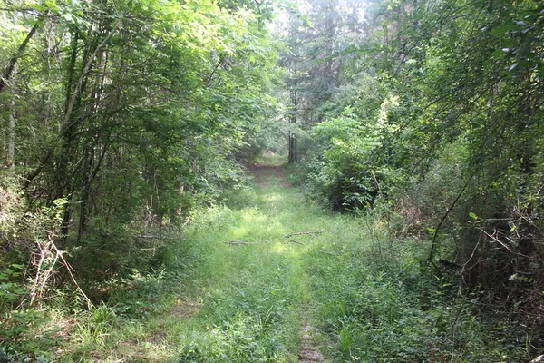 $158,400 | 0 Highway 550, Wesson, MS 39191
