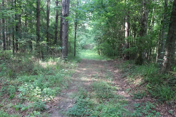 $158,400 | 0 Highway 550, Wesson, MS 39191