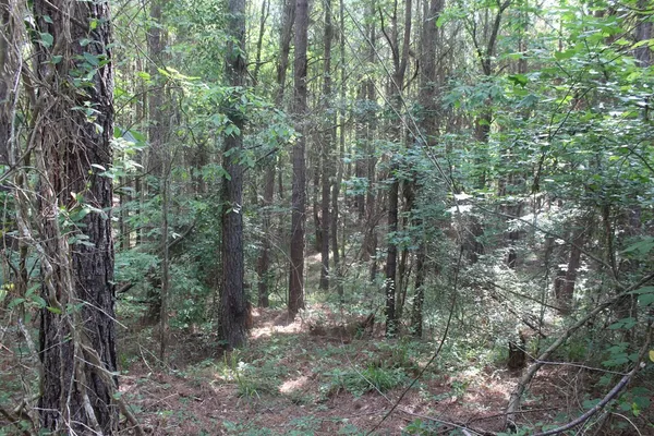 $158,400 | 0 Highway 550, Wesson, MS 39191