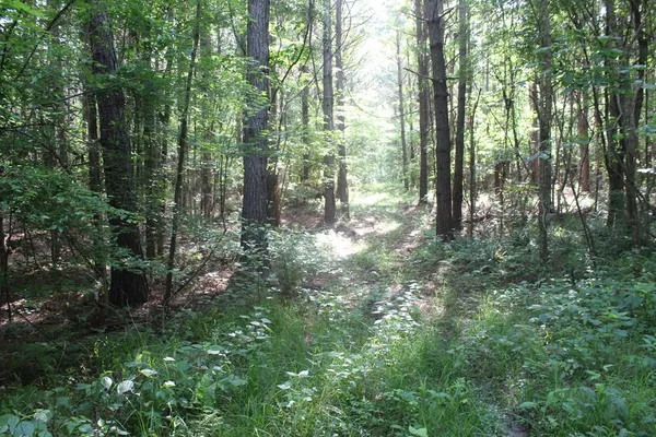 $158,400 | 0 Highway 550, Wesson, MS 39191