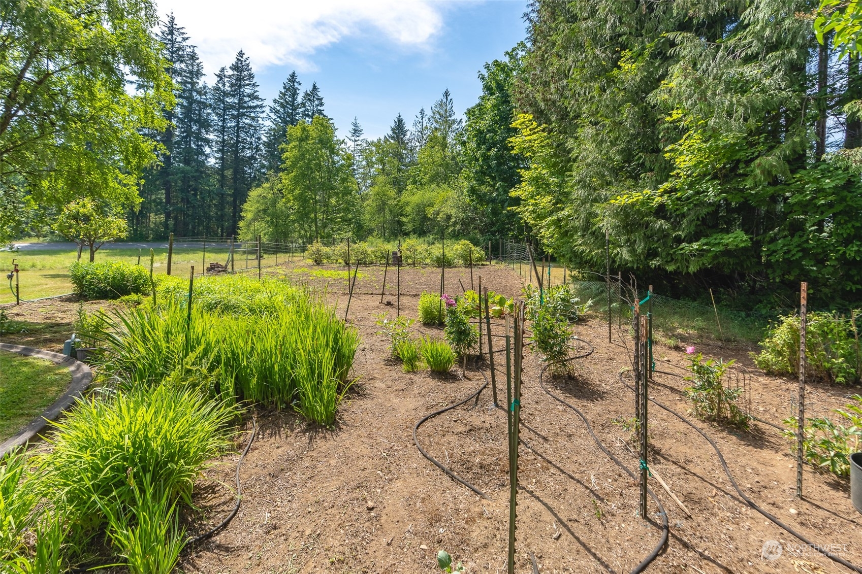 3326 Cedarville Road Bellingham, WA 98226 - Photo 31 of 40 a view of a lake with a bench in a garden