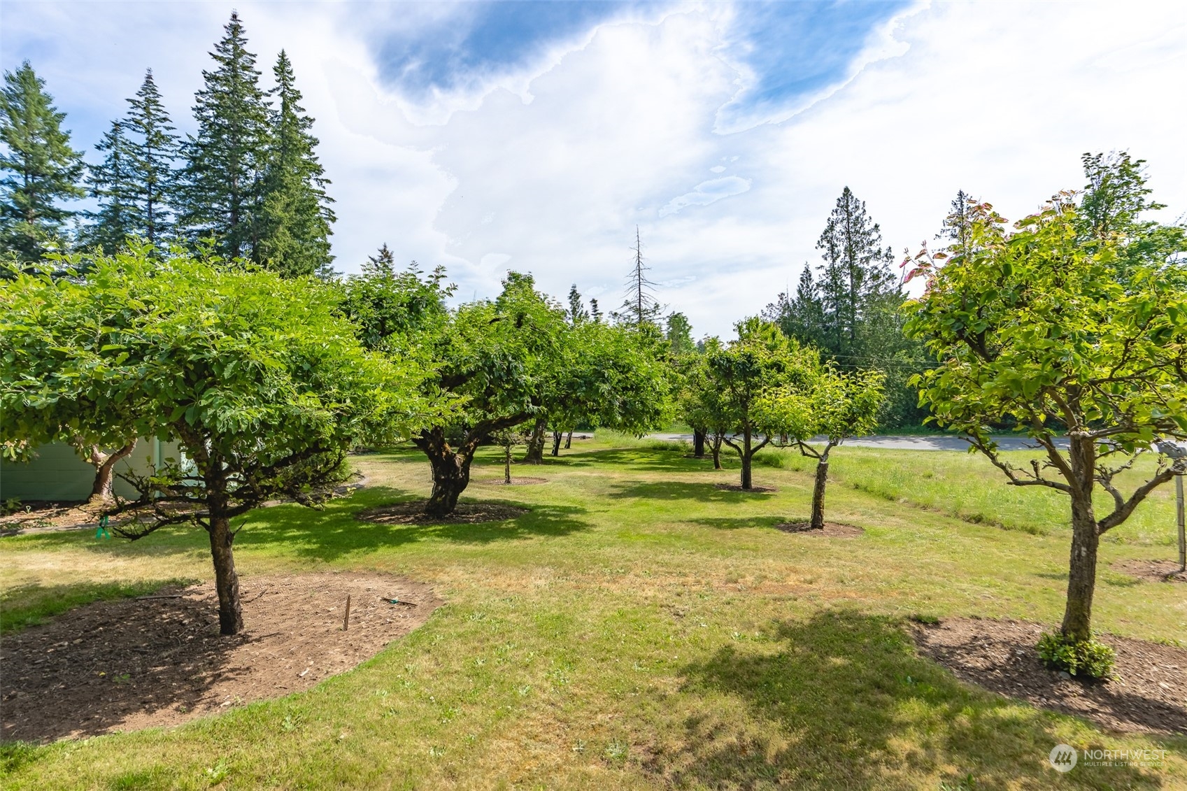 3326 Cedarville Road Bellingham, WA 98226 - Photo 34 of 40 a view of an outdoor space with a lake view