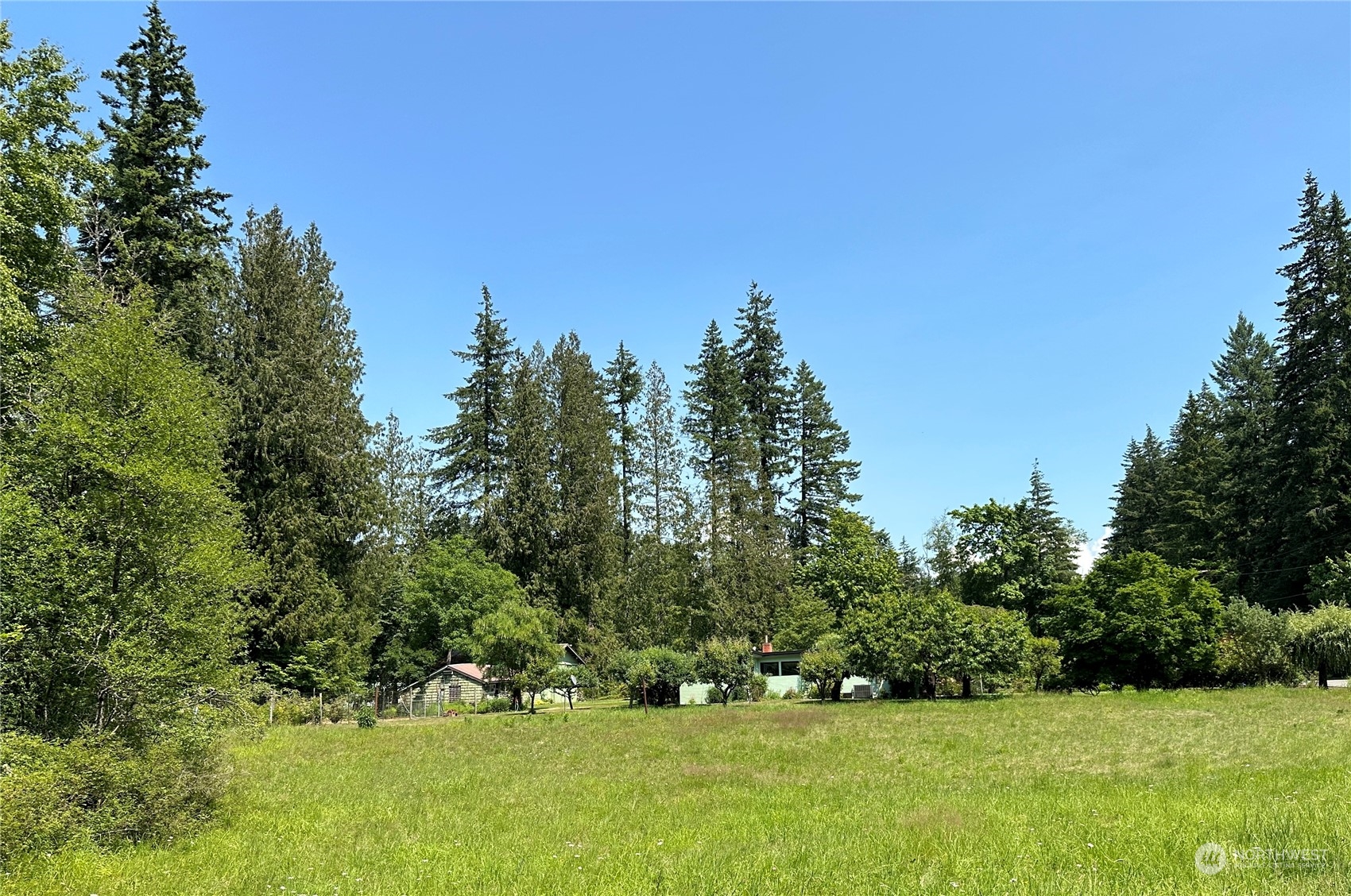3326 Cedarville Road Bellingham, WA 98226 - Photo 40 of 40 a view of green field