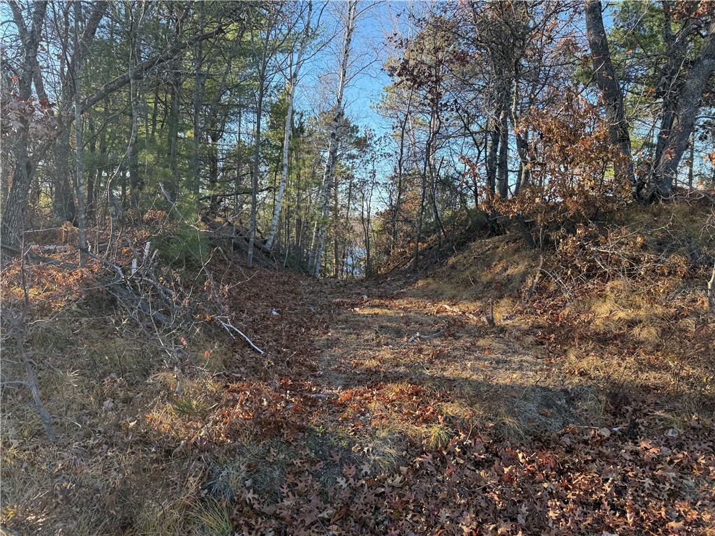Lot 20 East Long Lake Road Iron River, WI 54847 - Photo 4 of 13