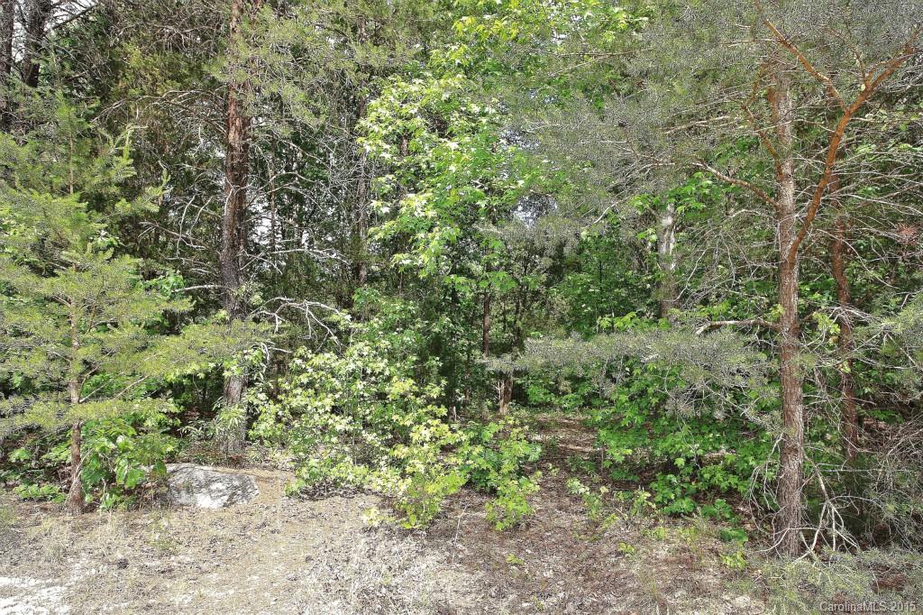 1152 North Beersheba Road Clover, SC 29710 - Photo 8 of 13