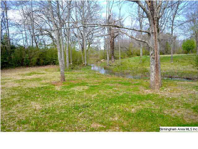 555 Blair Farm Road Odenville, AL 35120 - Photo 4 of 32