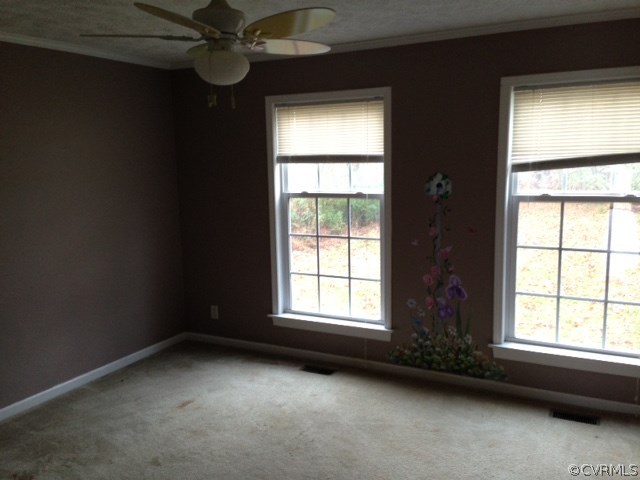 9043 Diascund Road Lanexa, VA 23089 - Photo 8 of 15 Gallery Image 8