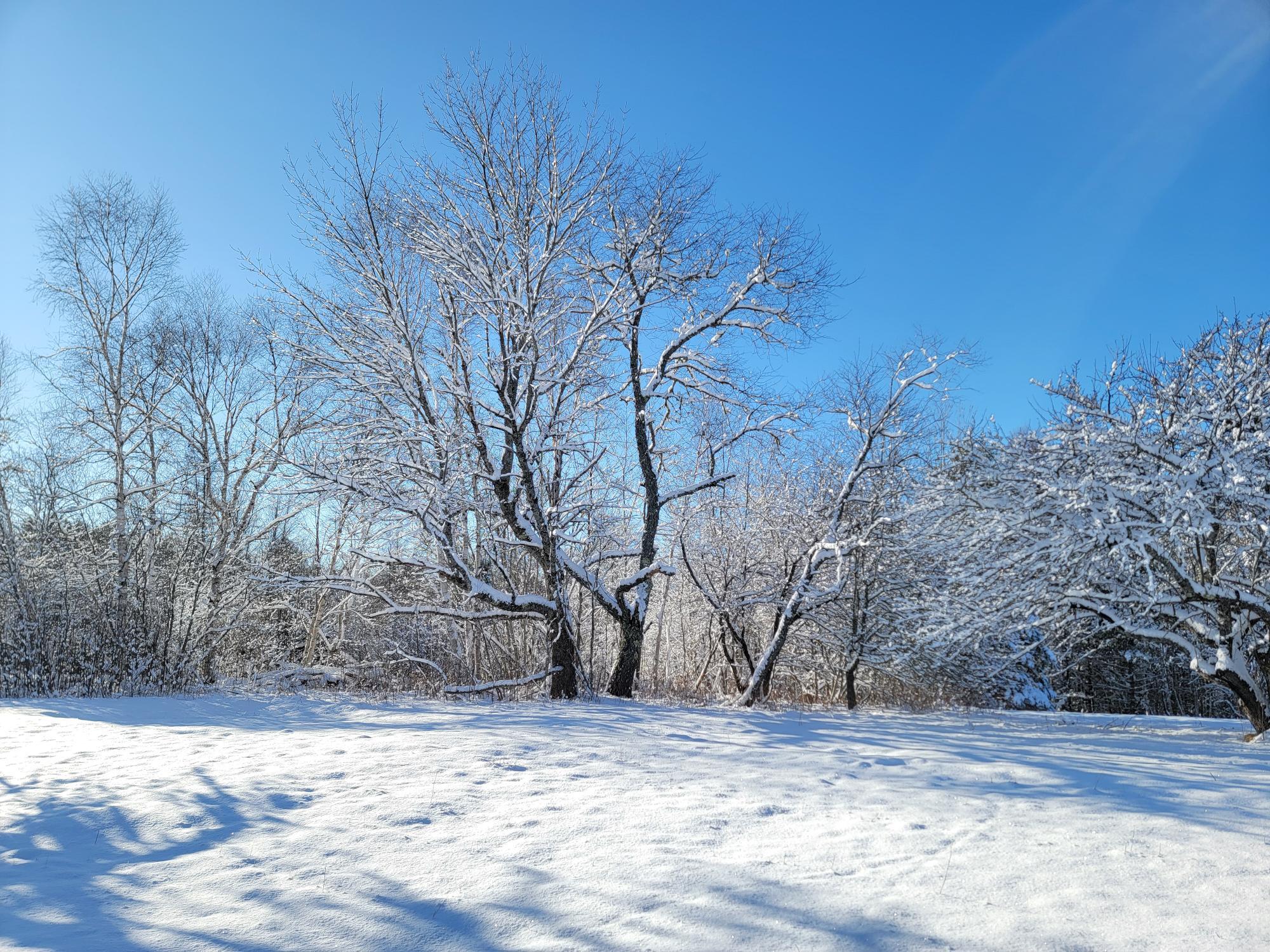 4-8 Macomber Mill Road Eastbrook, ME 04634 - Photo 11 of 19 4-8 Macomber Mill Road