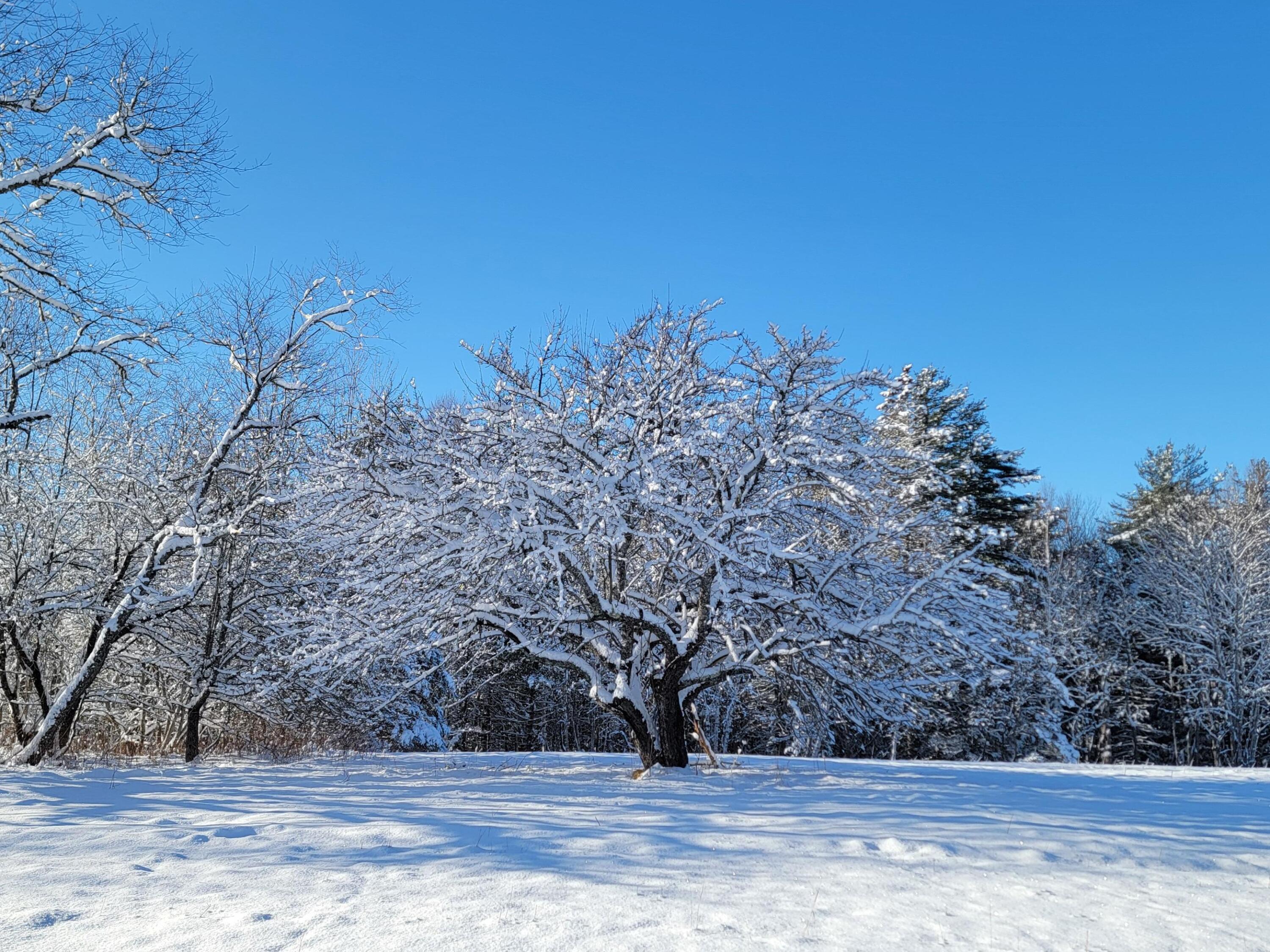 4-8 Macomber Mill Road Eastbrook, ME 04634 - Photo 12 of 19 4-8 Macomber Mill Road