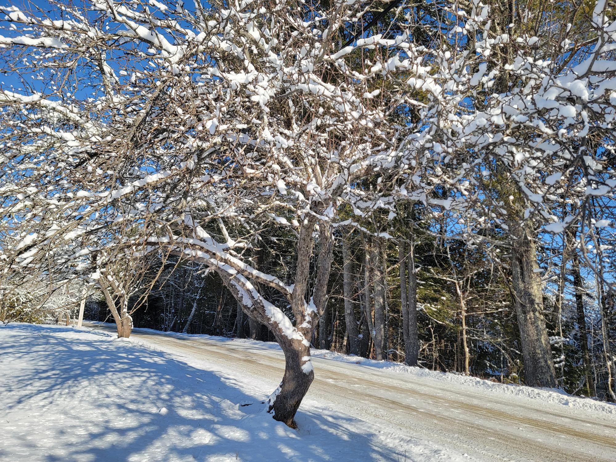 4-8 Macomber Mill Road Eastbrook, ME 04634 - Photo 2 of 19 4-8 Macomber Mill Road