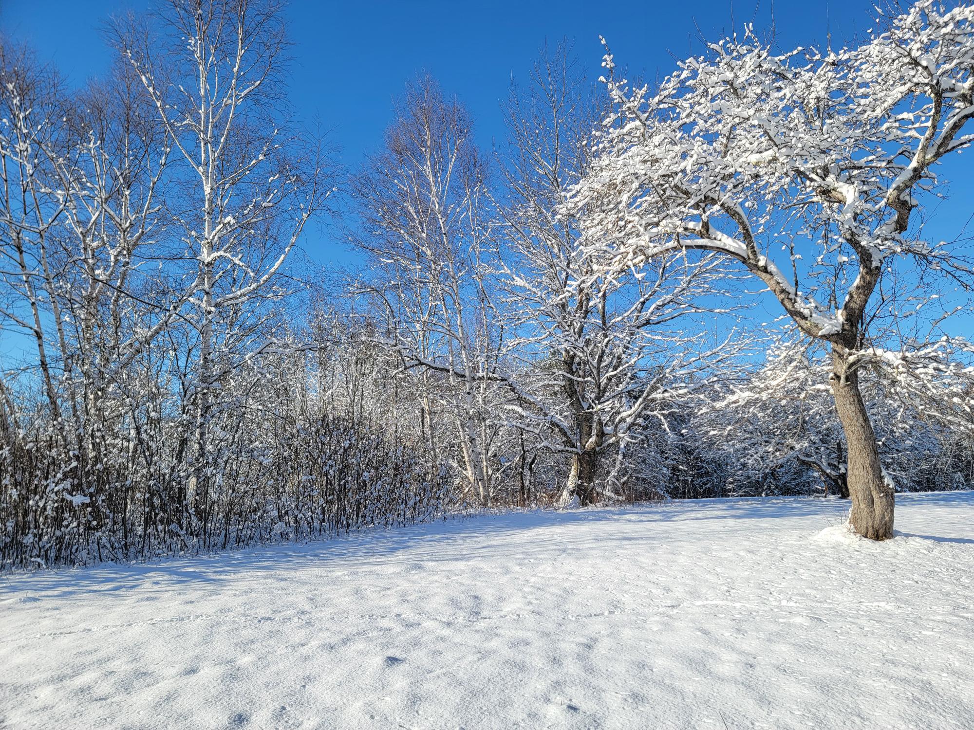 4-8 Macomber Mill Road Eastbrook, ME 04634 - Photo 3 of 19 4-8 Macomber Mill Road