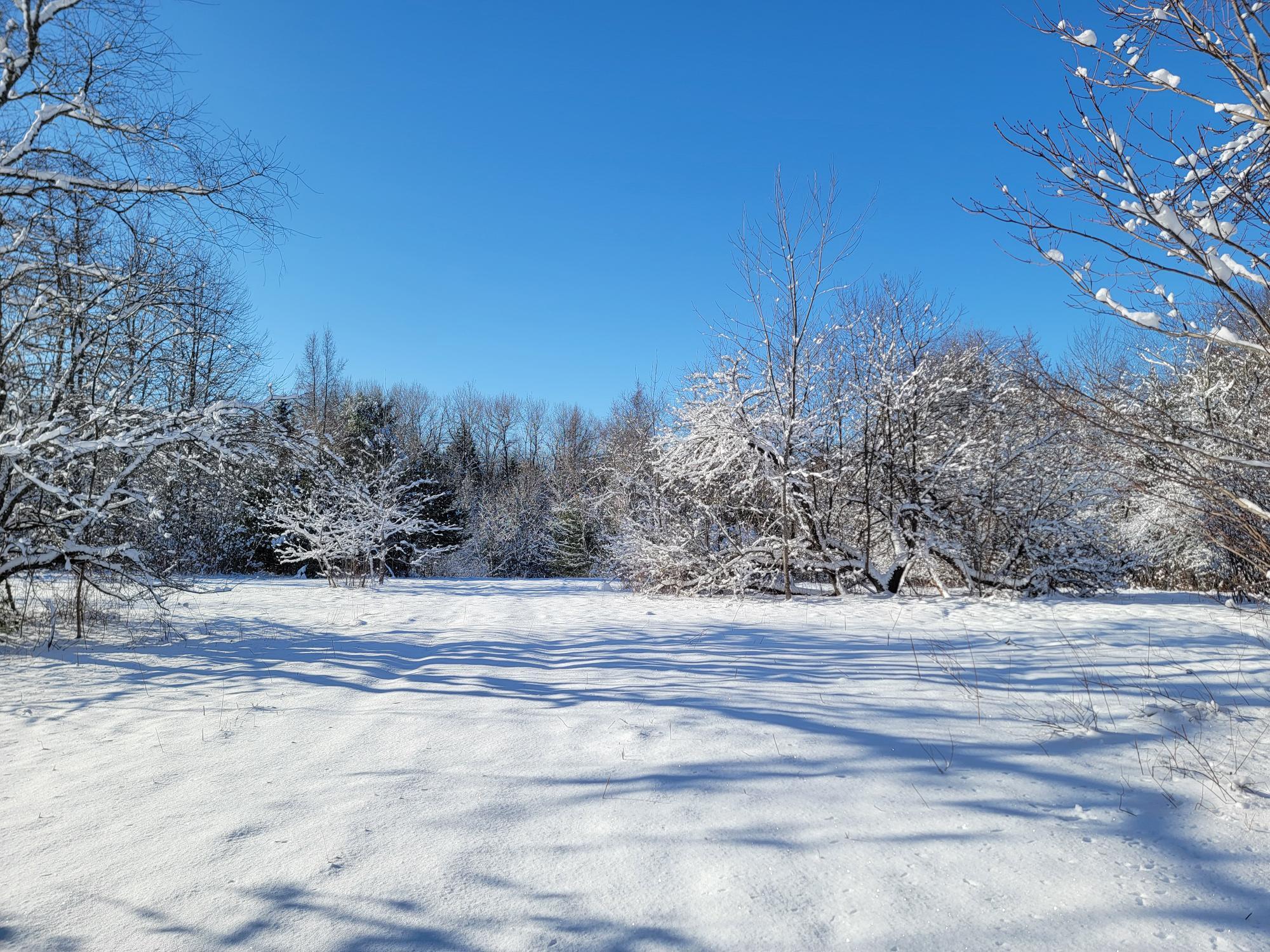 4-8 Macomber Mill Road Eastbrook, ME 04634 - Photo 5 of 19 4-8 Macomber Mill Road