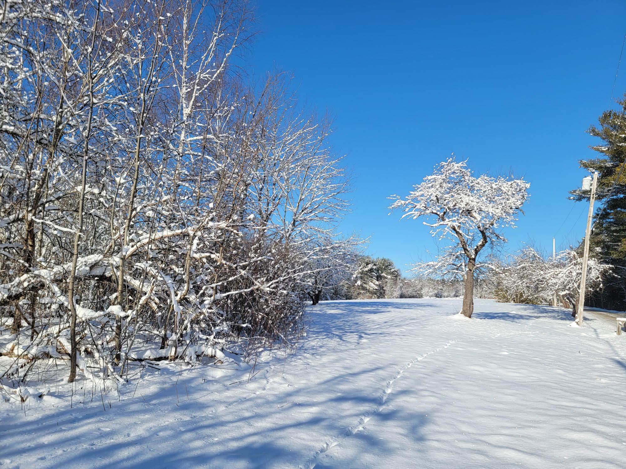 4-8 Macomber Mill Road Eastbrook, ME 04634 - Photo 6 of 19 4-8 Macomber Mill Road
