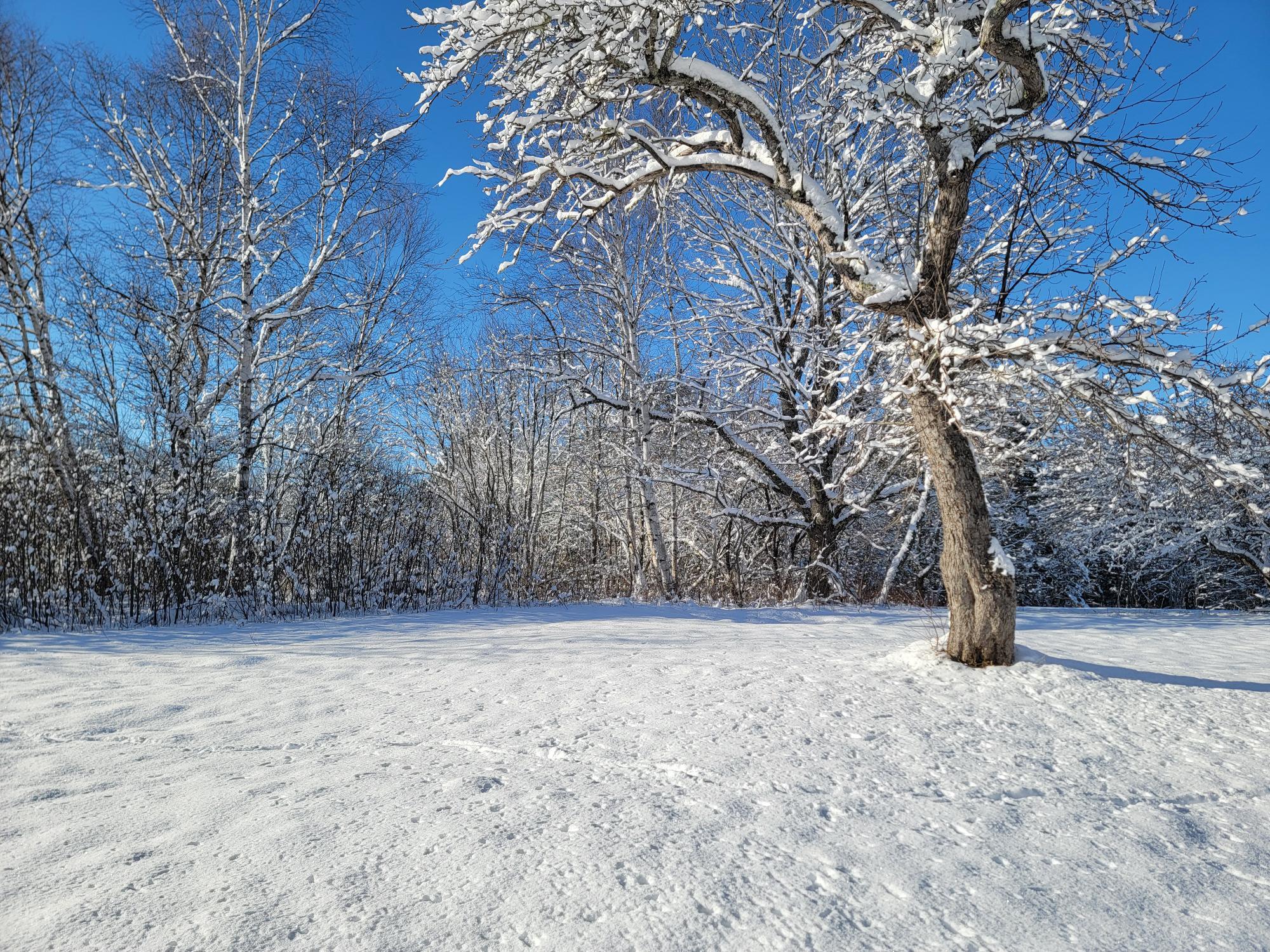 4-8 Macomber Mill Road Eastbrook, ME 04634 - Photo 8 of 19 4-8 Macomber Mill Road
