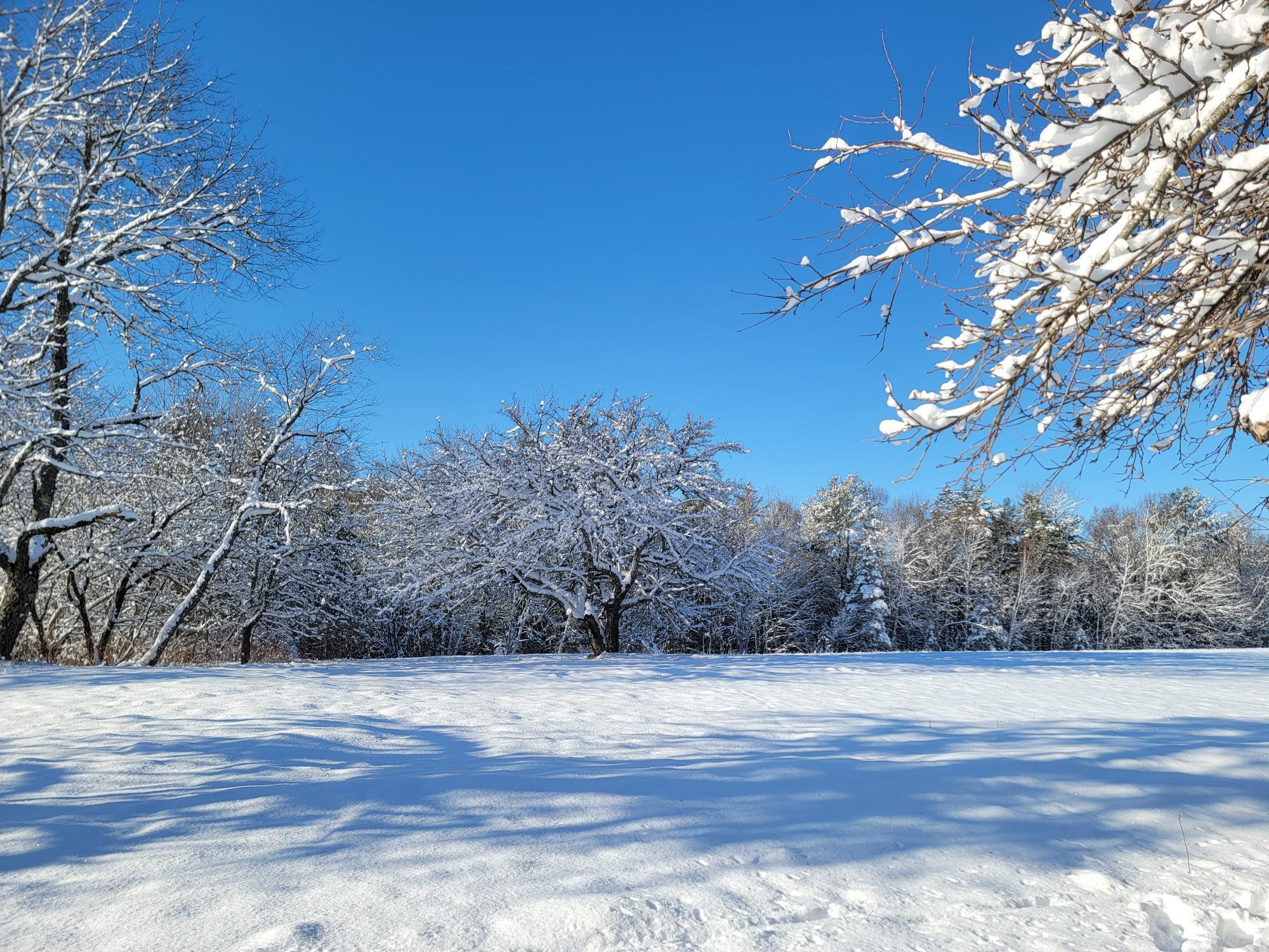 4-8 Macomber Mill Road Eastbrook, ME 04634 - Photo 9 of 19 4-8 Macomber Mill Road