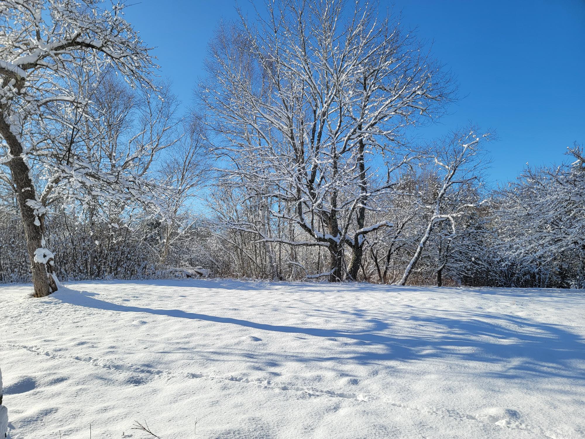4-8 Macomber Mill Road Eastbrook, ME 04634 - Photo 10 of 19 4-8 Macomber Mill Road