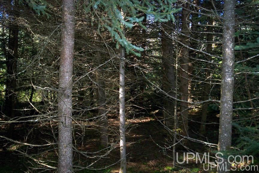 Tbd 140 Acres Off Parkington Road Gulliver, MI 49840 - Photo 7 of 11