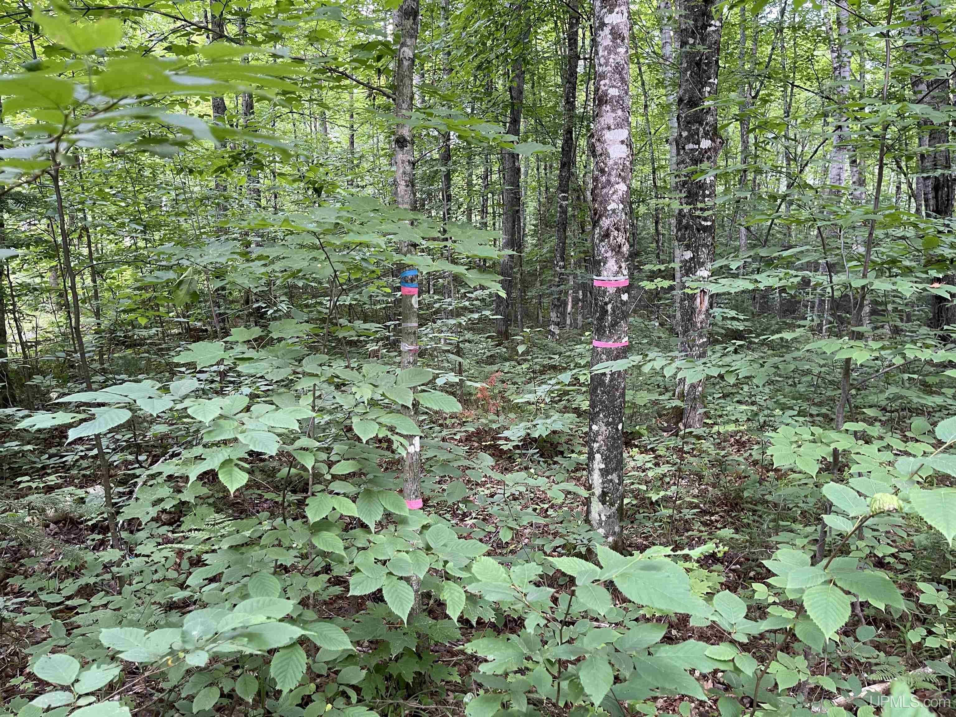 17-ac Cooper Lake Road Ishpeming, MI 49849 - Photo 4 of 10